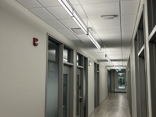 Linear pendant lights along an office corridor